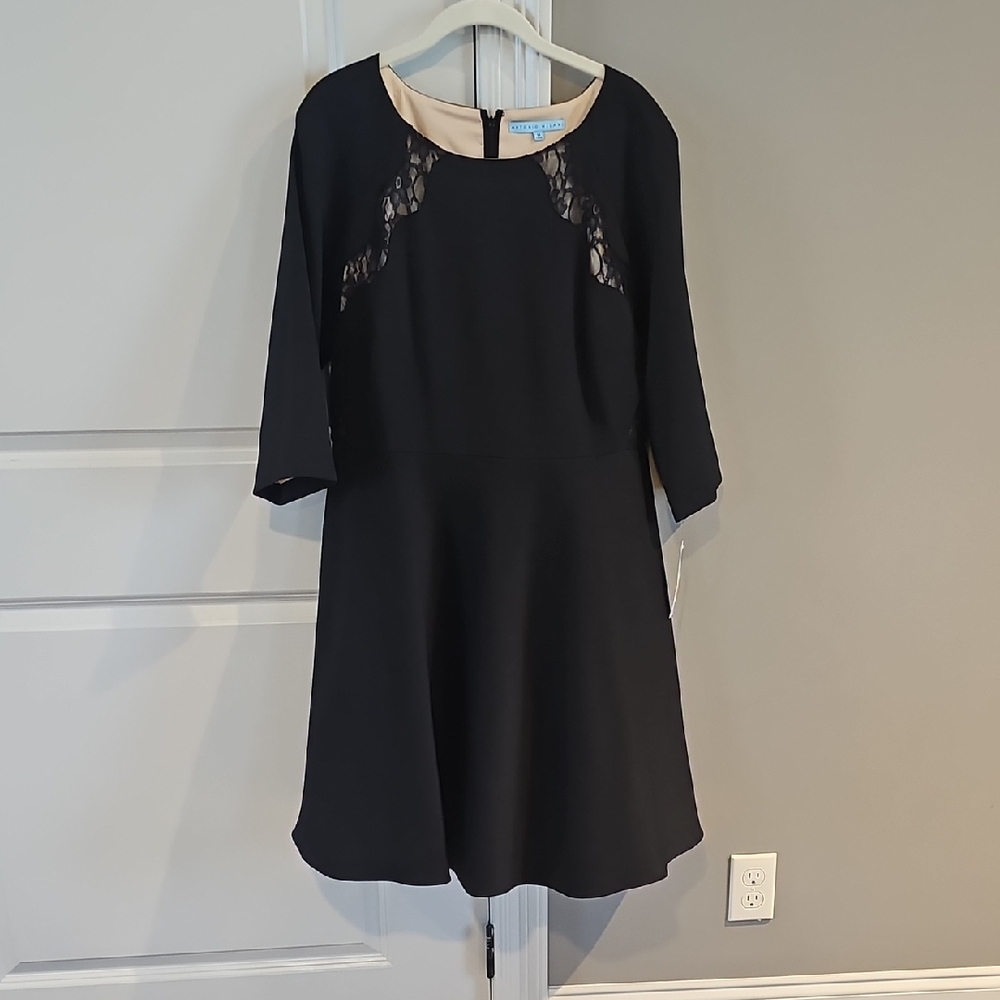 Black Lace-Accent A-Line Dress